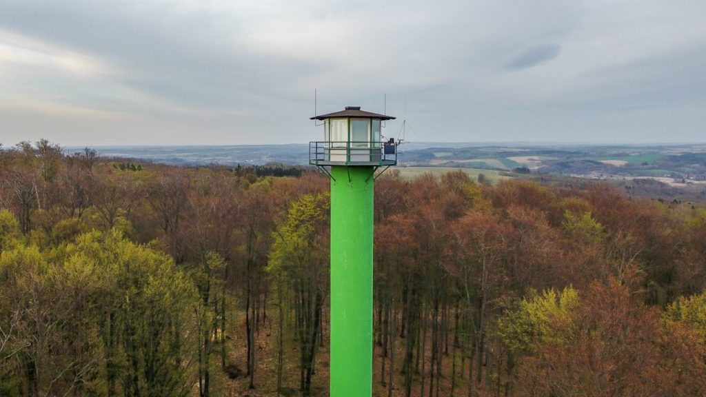 Lubański Wielki Las